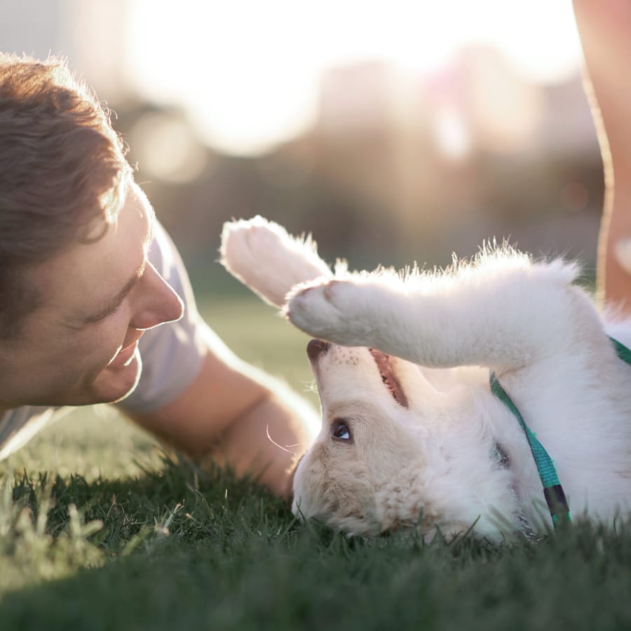 Community Outreach, Laguna Beach Vet